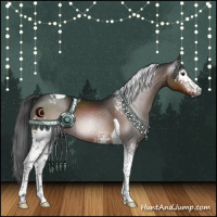 Horse Color:Gray White Spotted Brown Tobiano 