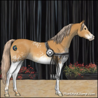 Horse Color:White Spotted Palomino 