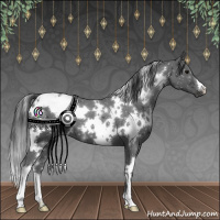 Horse Color:White Spotted Black 