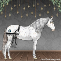 Horse Color:Amber Champagne Roan Appaloosa 