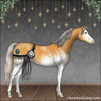 Horse Color:White Spotted Silver Buckskin 