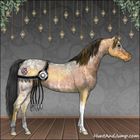 Horse Color:Brown Ice Roan 