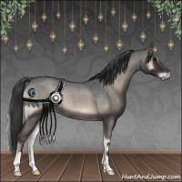 Horse Color:Blue Onyx Roan 
