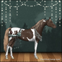 Horse Color:Liver Chestnut Tobiano Appaloosa 