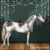 Horse Color:White Spotted Chocolate Palomino 