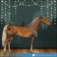 Horse Color:Chocolate Palomino Tobiano Rabicano 
