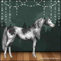 Horse Color:White Spotted Black Splash 