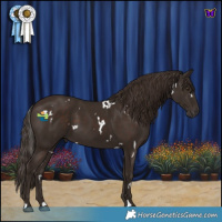 Horse Color:White Spotted Liver Chestnut 