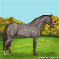Horse Color:Liver Red Roan Tobiano 