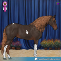 Horse Color:Liver Chestnut Tobiano 