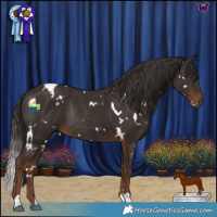 Horse Color:White Spotted Liver Chestnut Rabicano 