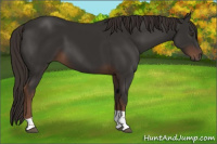 Horse Color:Liver Chestnut Tobiano 