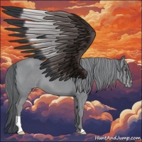 Horse Color:Classic Champagne Chinchilla Appaloosa 