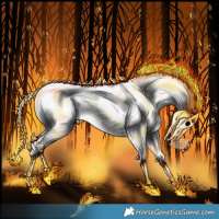 Horse Color:Gray Chocolate Silver Sable Cream Champagne Pearl Onyx Sabino Splash Tobiano Frame Rabicano 