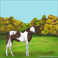 Horse Color:Liver Chestnut Tobiano 