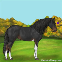 Horse Color:Liver Chestnut Tobiano 