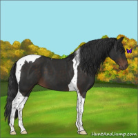 Horse Color:Liver Chestnut Tobiano 