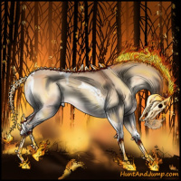 Horse Color:Silver Bay Onyx Tobiano 