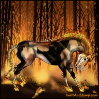 Horse Color:Void Bay Onyx Sabino Tobiano