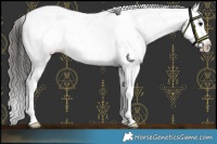 Horse Color:White Spotted Bay Sabino Appaloosa Rabicano 