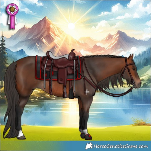 Horse Color:Bay Rabicano 