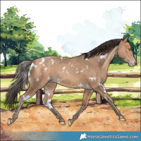 Horse Color:White Spotted Amber Champagne 