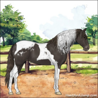 Horse Color:Smoky Black Tobiano Varnish 
