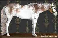 Horse Color:White Spotted Silver Brown Rabicano 