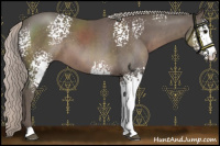 Horse Color:White Spotted Silver Black 