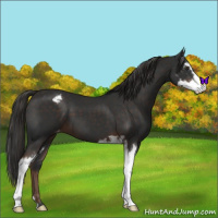 Horse Color:Liver Chestnut Sabino Varnish