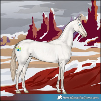 Horse Color:Smoky Creme Roan Dun 