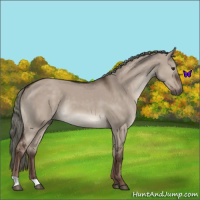 Horse Color:Liver Red Dun Mushroom 