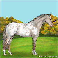 Horse Color:Red Dun Roan Mushroom Blanket 