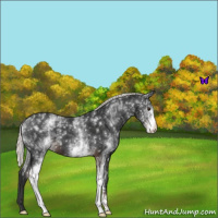 Horse Color:White Spotted Liver Chestnut Mushroom 