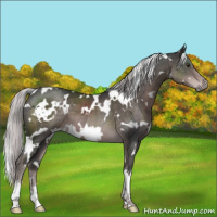 Horse Color:Platinum White Spotted Liver Chestnut 