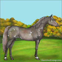 Horse Color:Platinum White Spotted Liver Chestnut Rabicano 