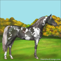 Horse Color:Platinum White Spotted Liver Chestnut 