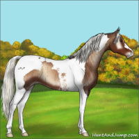 Horse Color:Liver Red Onyx Mushroom Tobiano Brindle 
