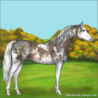 Horse Color:White Spotted Liver Chestnut Ice Mushroom Splash 