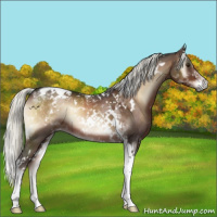 Horse Color:White Spotted Liver Red Onyx Mushroom Tobiano 