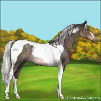Horse Color:Liver Chestnut Mushroom Tobiano Rabicano 