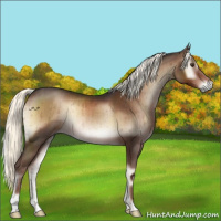 Horse Color:Liver Red Onyx Mushroom Rabicano Brindle 