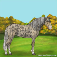 Horse Color:Smoky Blue Roan Sabino Splash and Silver Smoky Blue Roan Sabino Splash