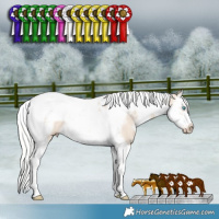 Horse Color:White Spotted Silver Smoky Creme Splash Tobiano Frame 