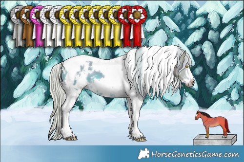 Horse Color:Watercolor White Spotted Silver Buckskin Tobiano Frame 