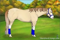 Horse Color:Gold Champagne Dun Splash 