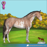 Horse Color:Sable Champagne Sabino 