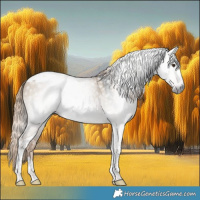Horse Color:Gray Liver Red Dun Tobiano 