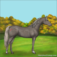 Horse Color:Silver Black 