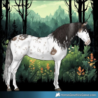 Horse Color:White Spotted Liver Red Dun Sabino Brindle 